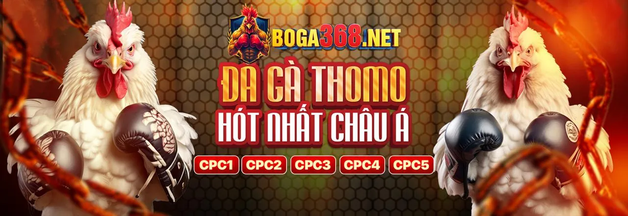 Hỗ trợ khách hàng chuyên nghiệp 24/7